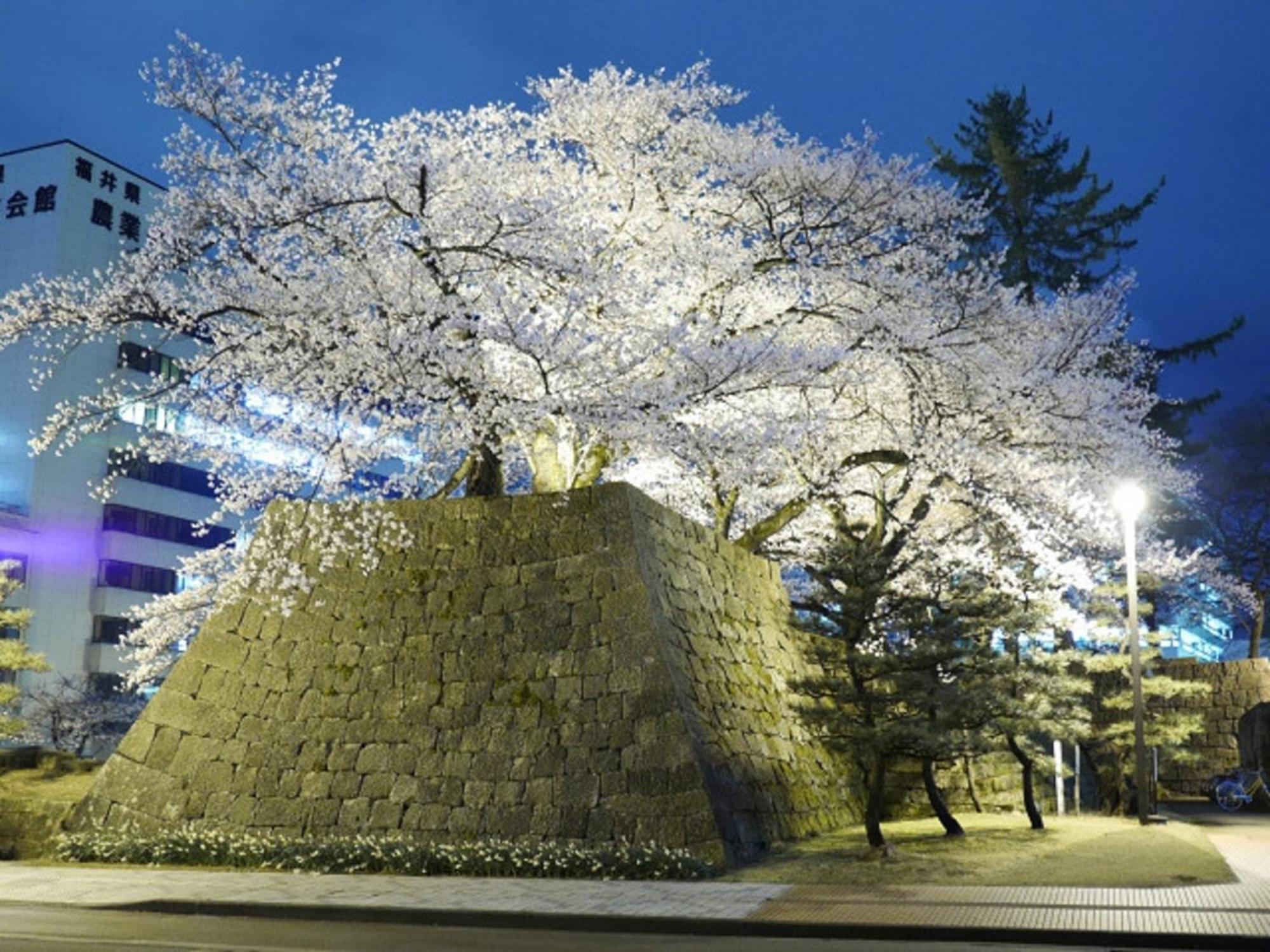 Hotel Fukui Castle - Vacation Stay 58696V Exterior foto